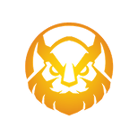 MGN Vikings Esports